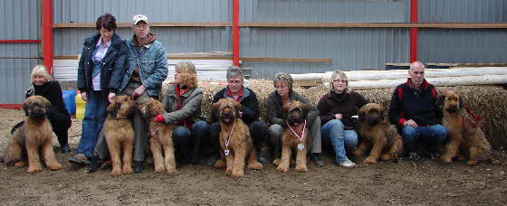 Zuchtausstellung Krusa, Dnemark 2009