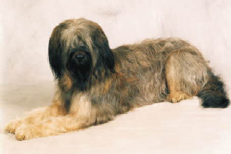 Babouche