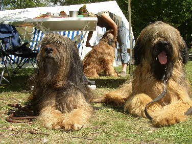 Amant (Sam) mit Grotante Babouche