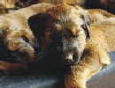 Film 29. Tag