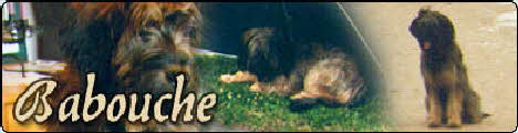 Babouche