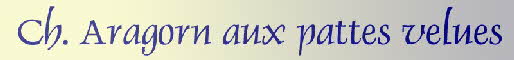 banner aragorn