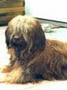 Babouche