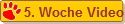 5. Woche Video