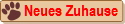 des lutins M2