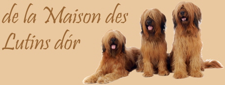 des lutins